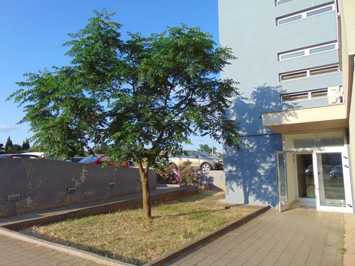 Augusta Apartmán *